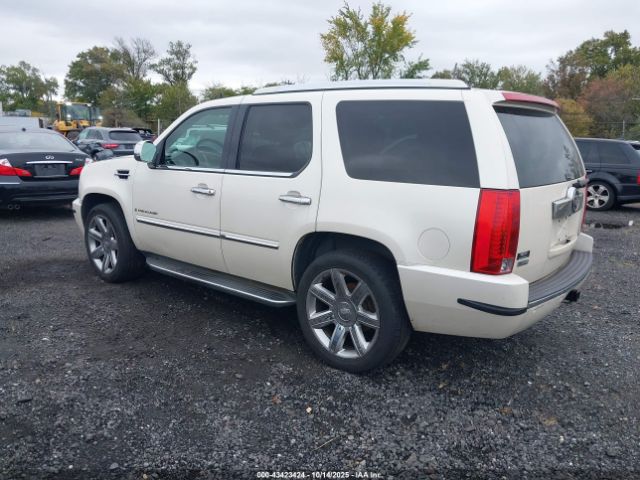2009 CADILLAC ESCALADE 1GYFK13259R250022 Photo 2