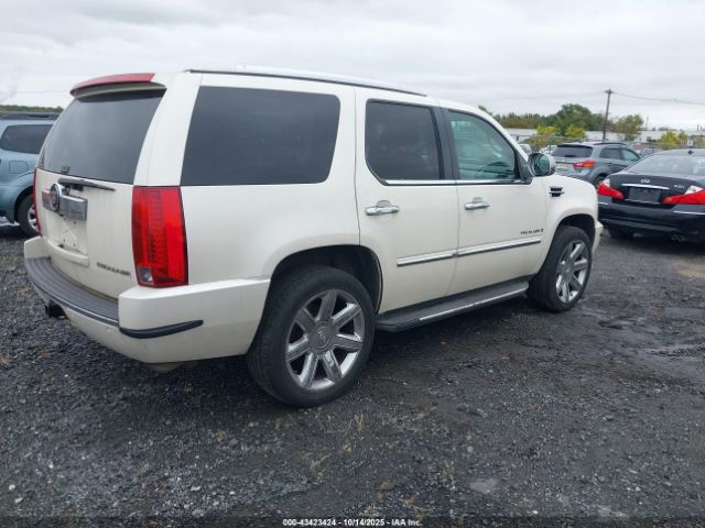 2009 CADILLAC ESCALADE 1GYFK13259R250022 Photo 3