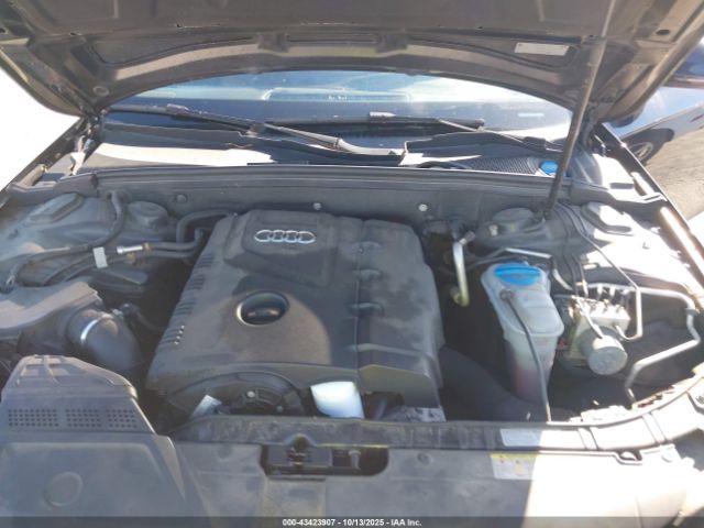 2013 AUDI ALLROAD WA19FAFL1DA238477 Photo 9