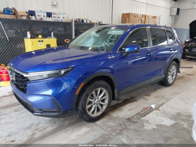 2024 HONDA CR-V 2HKRS4H48RH410402 Photo 1