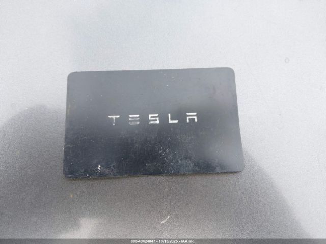2019 TESLA MODEL 3 5YJ3E1EA0KF424854 Photo 10