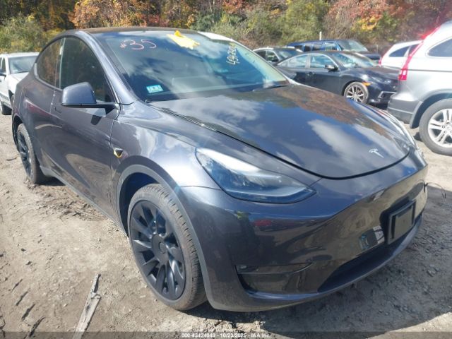 2024 TESLA MODEL Y 7SAYGDEE2RF157220
