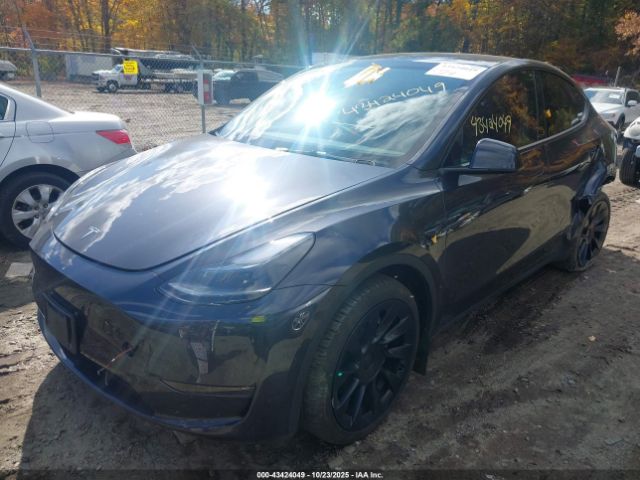 2024 TESLA MODEL Y 7SAYGDEE2RF157220 Photo 1