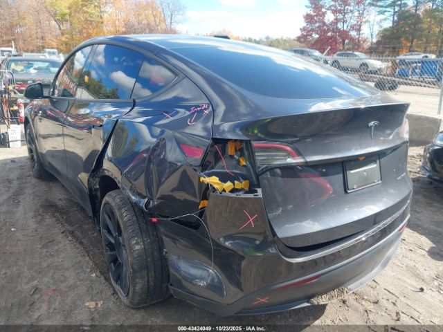 2024 TESLA MODEL Y 7SAYGDEE2RF157220 Photo 2