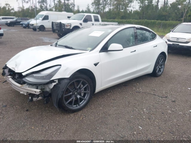 2023 TESLA MODEL 3 5YJ3E1EA9PF557880 Photo 1
