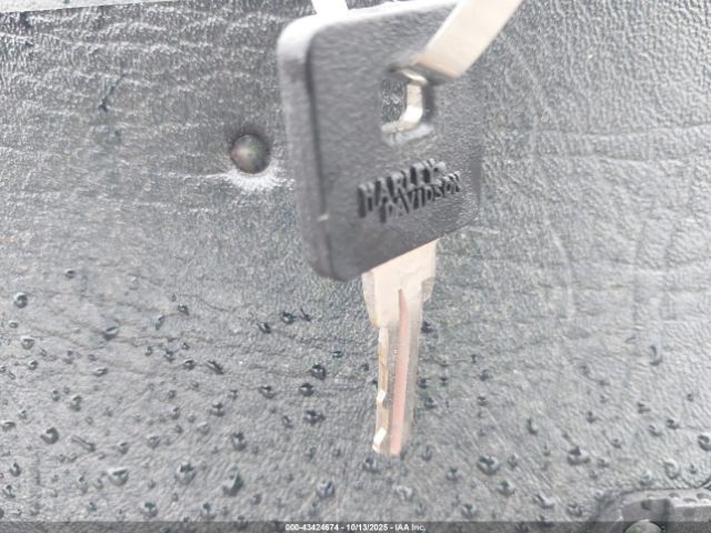 2017 HARLEY-DAVIDSON XL883 1HD4LE217HC445937 Photo 10