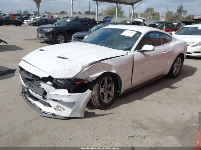 2020 FORD MUSTANG 1FA6P8TH5L5135610 Photo 1