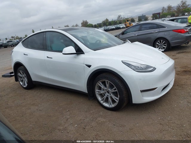 2023 TESLA MODEL Y 7SAYGDEEXPF607886 Photo 0