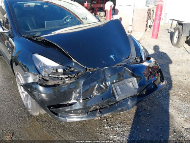 2021 TESLA MODEL 3 5YJ3E1EA2MF907099 Photo 5