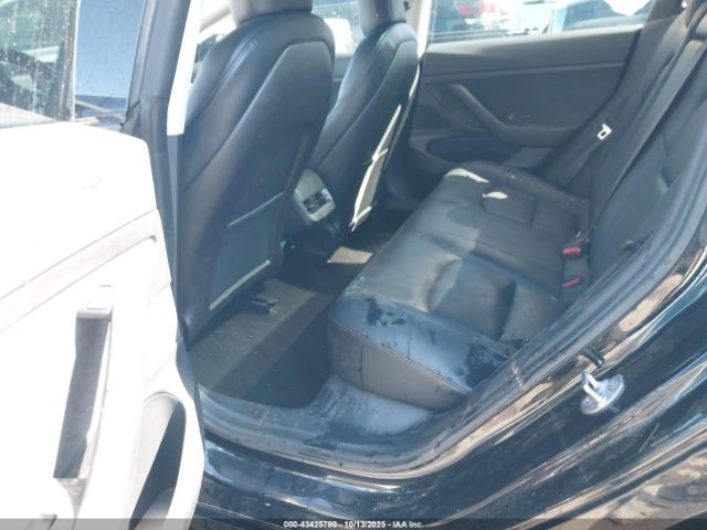 2021 TESLA MODEL 3 5YJ3E1EA2MF907099 Photo 7