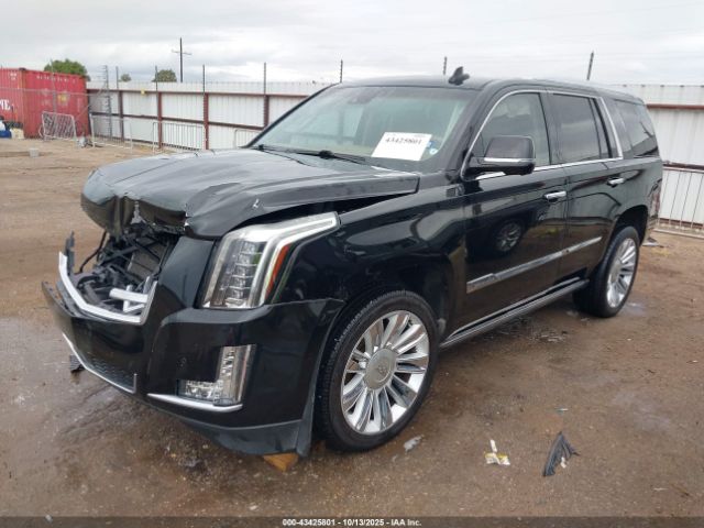 2016 CADILLAC ESCALADE 1GYS4DKJ7GR334276 Photo 1