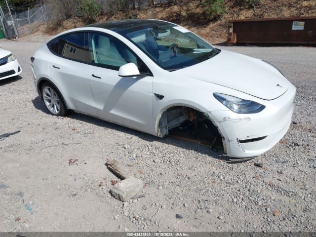 2022 TESLA MODEL Y 7SAYGDEE3NF513362