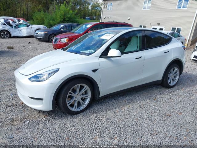 2022 TESLA MODEL Y 7SAYGDEE3NF513362 Photo 1