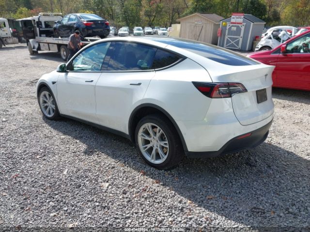 2022 TESLA MODEL Y 7SAYGDEE3NF513362 Photo 2