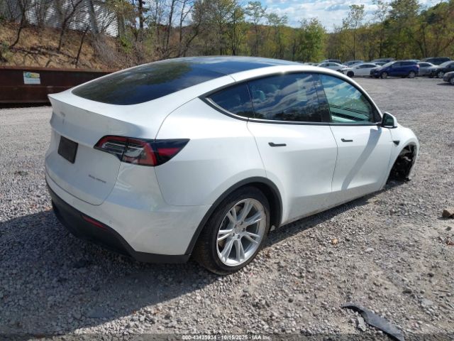 2022 TESLA MODEL Y 7SAYGDEE3NF513362 Photo 3