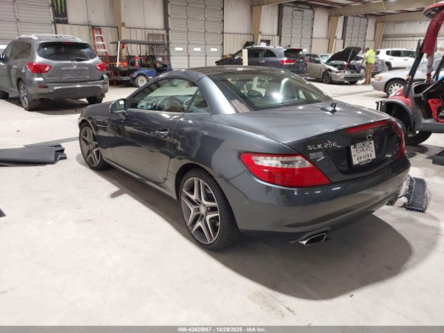 2015 MERCEDES-BENZ SLK 250 WDDPK4HA1FF113268 Photo 2