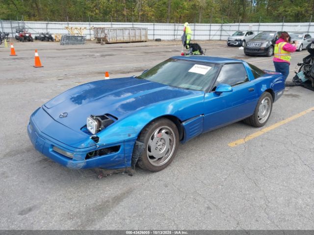 1992 CHEVROLET CORVETTE 1G1YY23P1N5100904 Photo 1