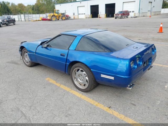 1992 CHEVROLET CORVETTE 1G1YY23P1N5100904 Photo 2