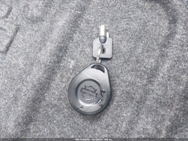 2009 HARLEY-DAVIDSON FLHTCUTG 1HD1MAM109Y850631 Photo 10