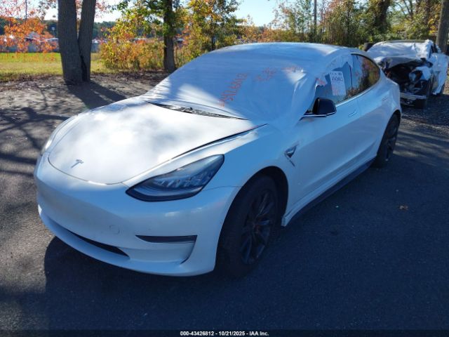 2019 TESLA MODEL 3 5YJ3E1EB6KF393683 Photo 1