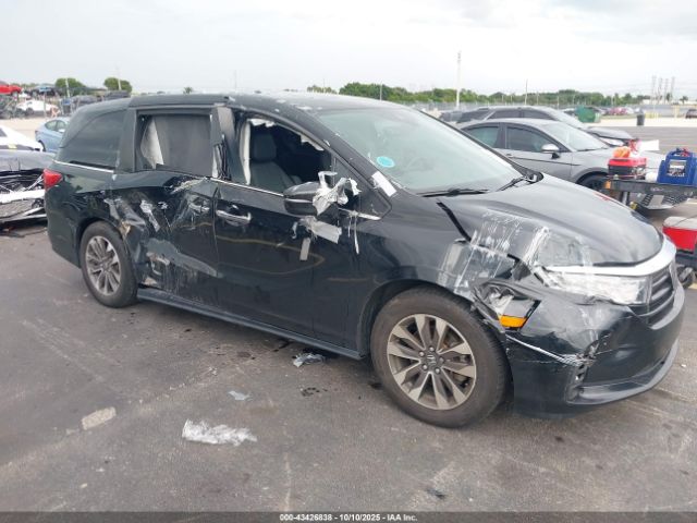 2023 HONDA ODYSSEY 5FNRL6H64PB036649