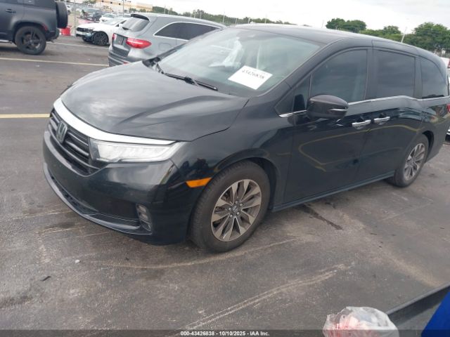 2023 HONDA ODYSSEY 5FNRL6H64PB036649 Photo 1