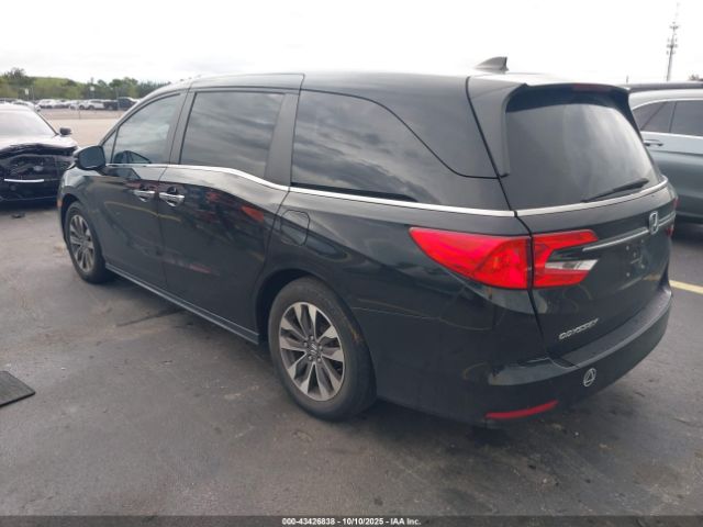 2023 HONDA ODYSSEY 5FNRL6H64PB036649 Photo 2