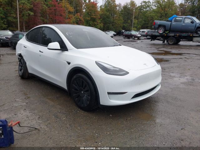 2025 TESLA MODEL Y 7SAYGDEDXSF238902 Photo 0