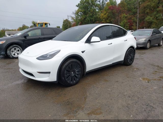 2025 TESLA MODEL Y 7SAYGDEDXSF238902 Photo 1
