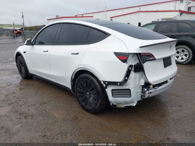 2025 TESLA MODEL Y 7SAYGDEDXSF238902 Photo 2