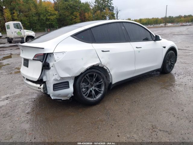 2025 TESLA MODEL Y 7SAYGDEDXSF238902 Photo 3
