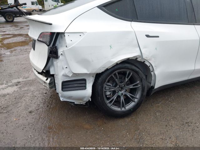 2025 TESLA MODEL Y 7SAYGDEDXSF238902 Photo 5