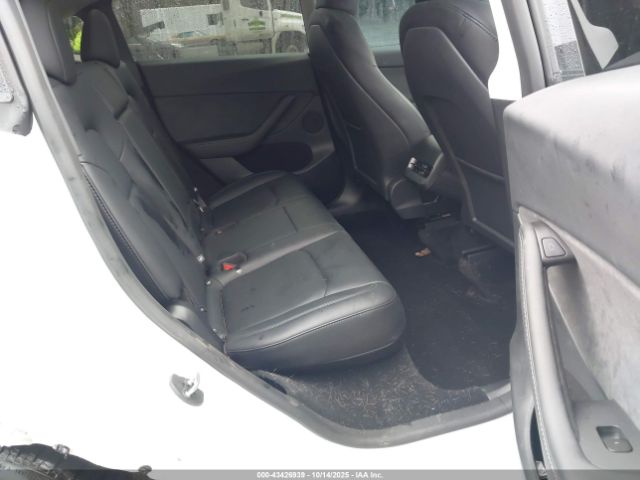 2025 TESLA MODEL Y 7SAYGDEDXSF238902 Photo 7