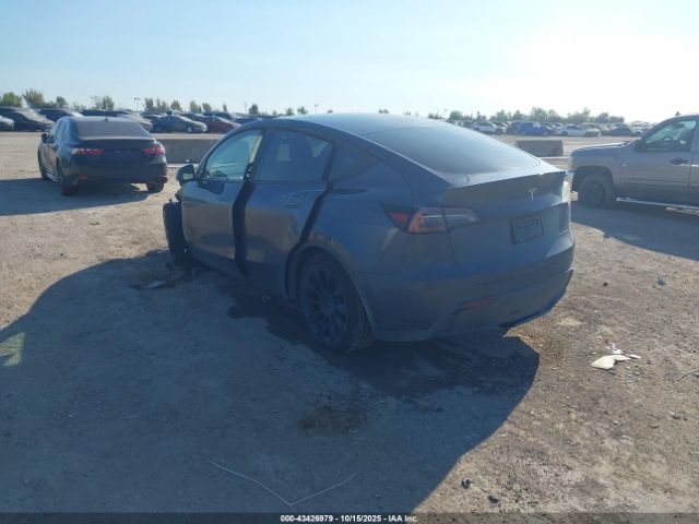 2023 TESLA MODEL Y 7SAYGDEE8PA048206 Photo 2