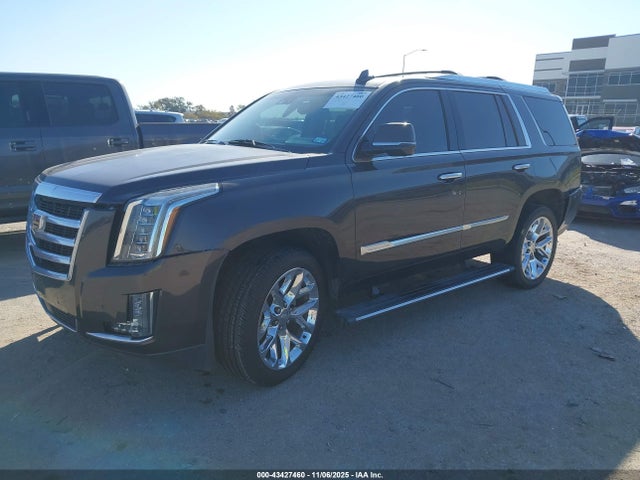 2016 CADILLAC ESCALADE 1GYS4CKJ7GR431830 Photo 1