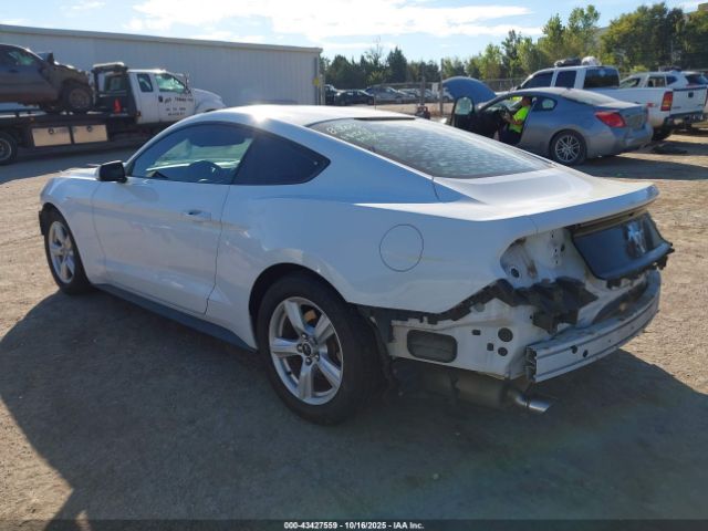 2015 FORD MUSTANG 1FA6P8AM0F5385731 Photo 2