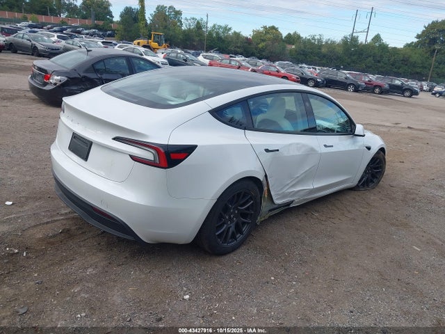 2025 TESLA MODEL 3 5YJ3E1EA4SF026451 Photo 3