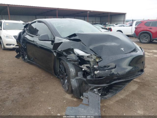2023 TESLA MODEL Y 7SAYGDEF6PF663915