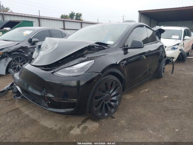 2023 TESLA MODEL Y 7SAYGDEF6PF663915 Photo 1