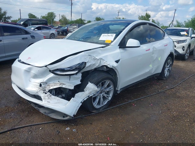 2023 TESLA MODEL Y 7SAYGDEE3PA159519 Photo 1