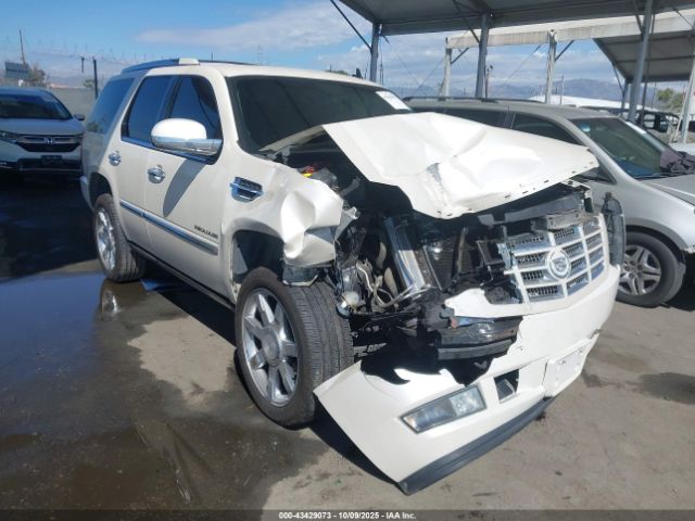 2011 CADILLAC ESCALADE 1GYS4CEF8BR396716