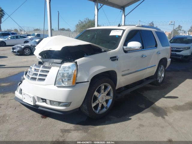 2011 CADILLAC ESCALADE 1GYS4CEF8BR396716 Photo 1