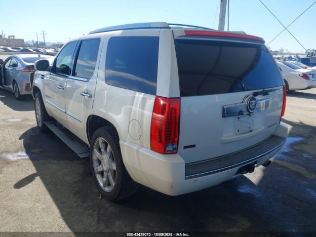 2011 CADILLAC ESCALADE 1GYS4CEF8BR396716 Photo 2