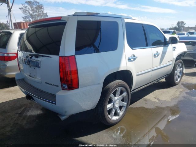 2011 CADILLAC ESCALADE 1GYS4CEF8BR396716 Photo 3