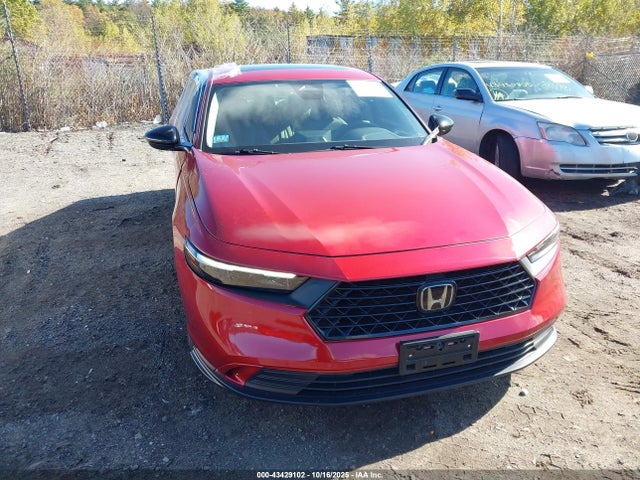 Honda l15be 2023 1HGCY1F32PA050000 Image 12