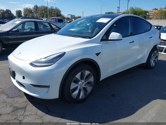 2023 TESLA MODEL Y 7SAYGDEE7PA084565 Photo 1