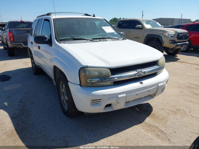 2007 CHEVROLET TRAILBLAZER 1GNDS13S072210313
