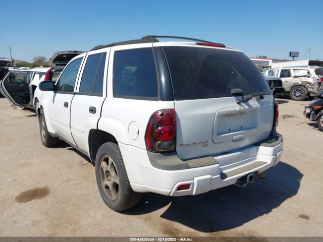 2007 CHEVROLET TRAILBLAZER 1GNDS13S072210313 Photo 2
