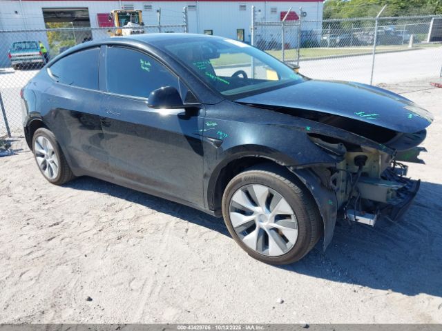 2023 TESLA MODEL Y 7SAYGDEE2PF598780 Photo 0