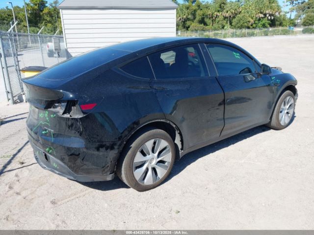 2023 TESLA MODEL Y 7SAYGDEE2PF598780 Photo 3